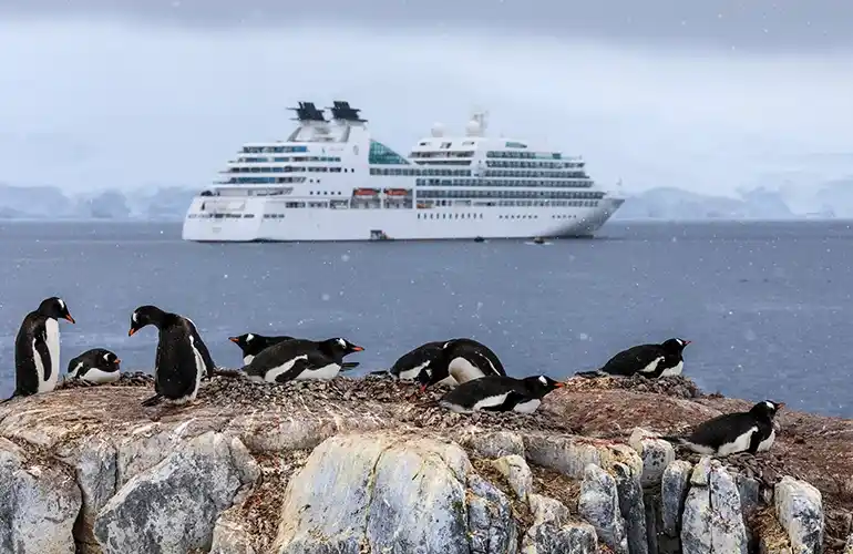 Antarctic Cruise Antarctic Cruise