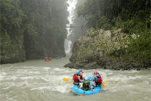 Jungle, Waves, and Zip-lines