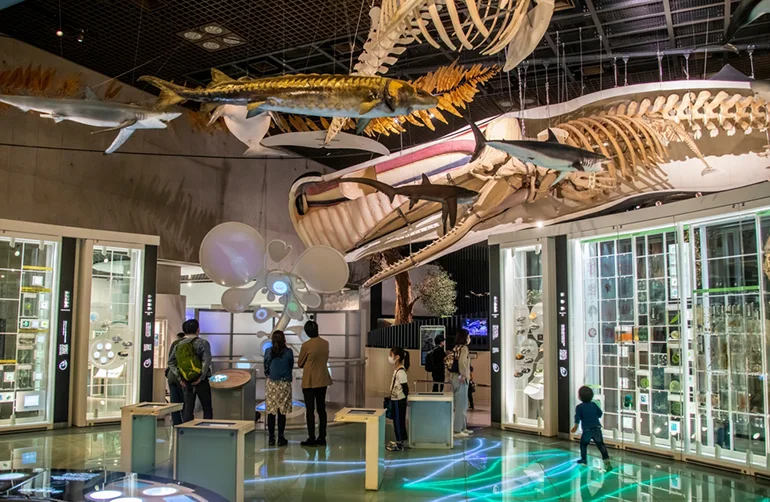 Tokyo National Museum Tokyo National Museum